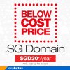 540x540-sg-domain-$30-1.jpg