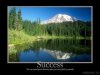 41088_wallpaper280 success.jpg