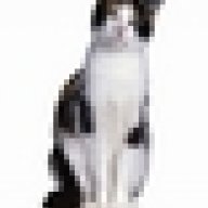 vioflex